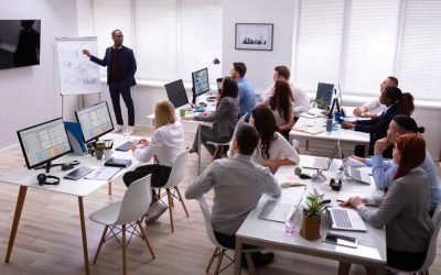 Mobilisation vers l’activité et l’emploi